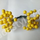 Калина. Диаметр ягодки 7-8 мм.