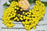 Калина. Диаметр ягодки 7-8 мм.